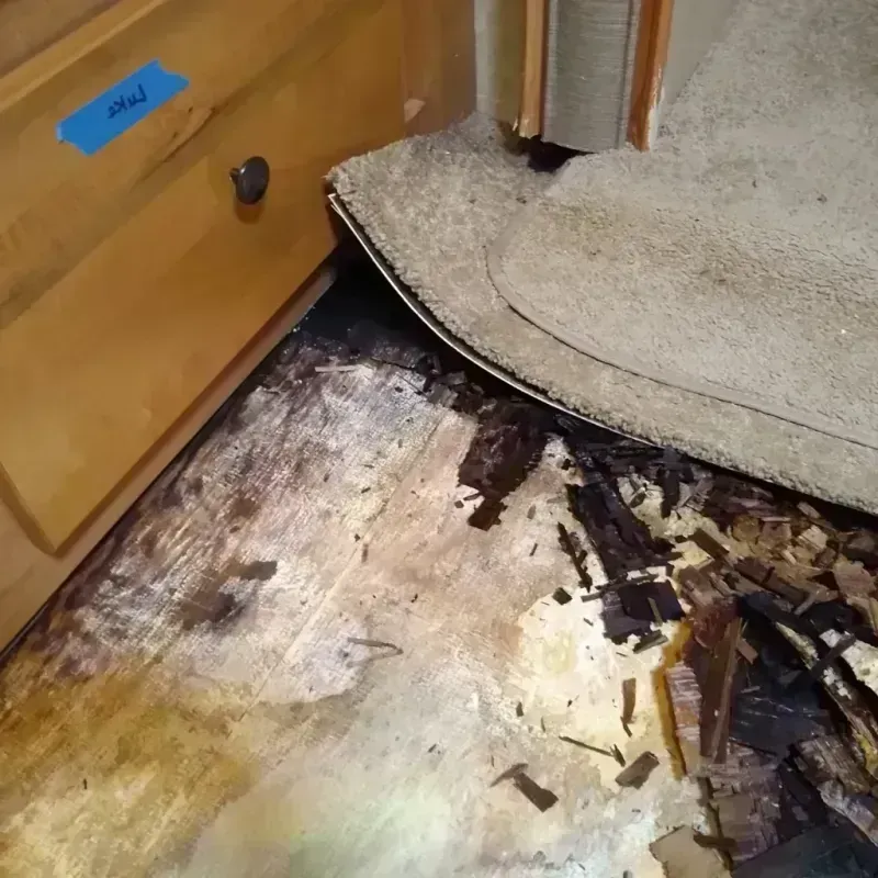 Wood Floor Water Damage in Ramtown, NJ